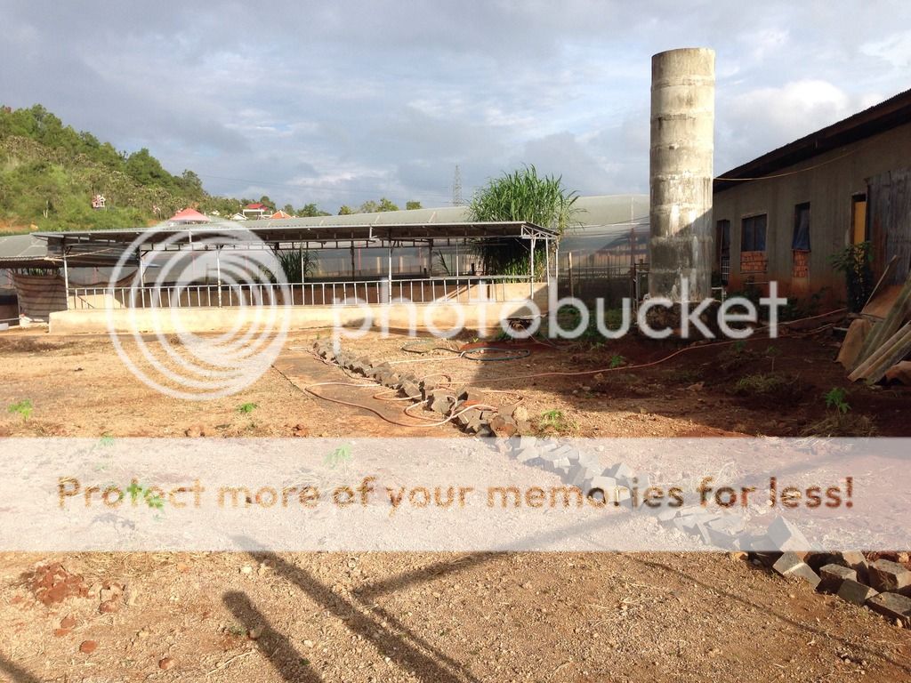 Lâm Đồng - Bán Đất làm khu nghỉ dưỡng - sinh thái - trang trại - 4