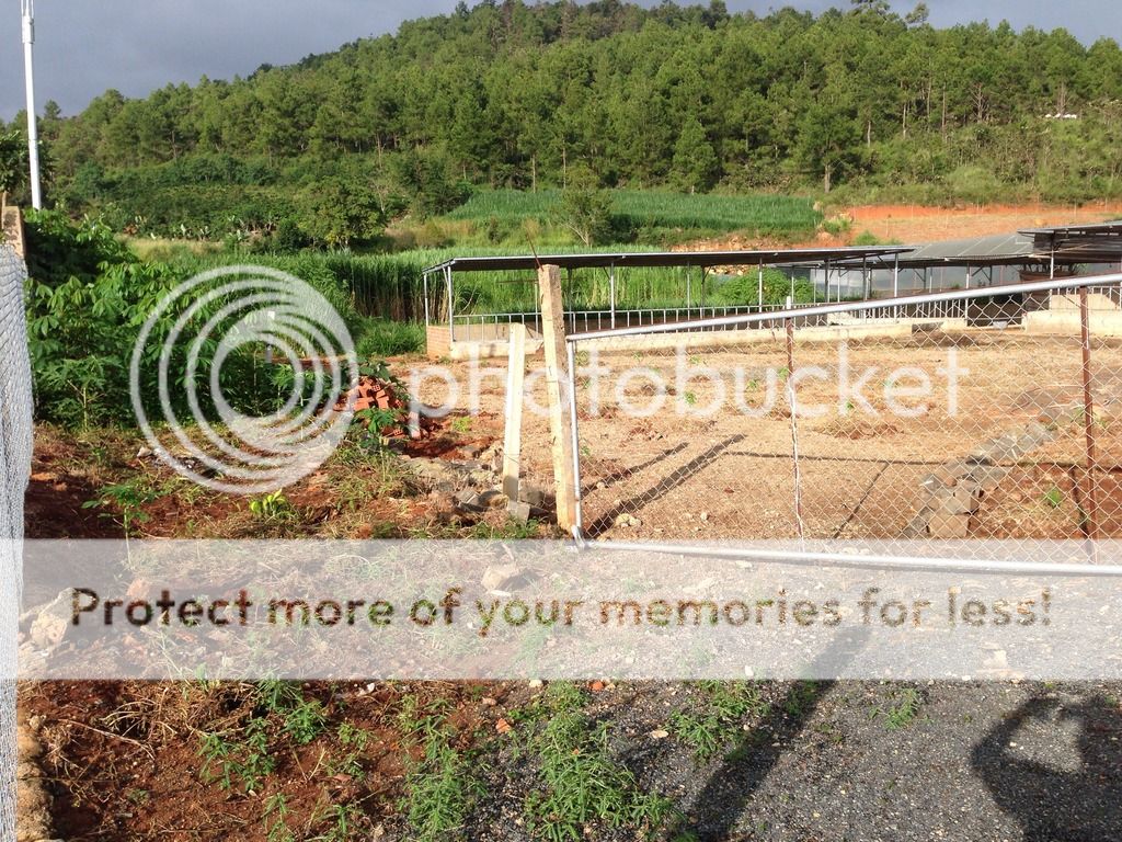 Lâm Đồng - Bán Đất làm khu nghỉ dưỡng - sinh thái - trang trại - 3