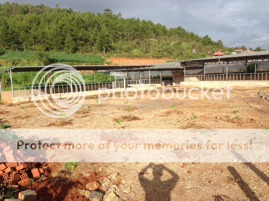 Lâm Đồng - Bán Đất làm khu nghỉ dưỡng - sinh thái - trang trại - 1