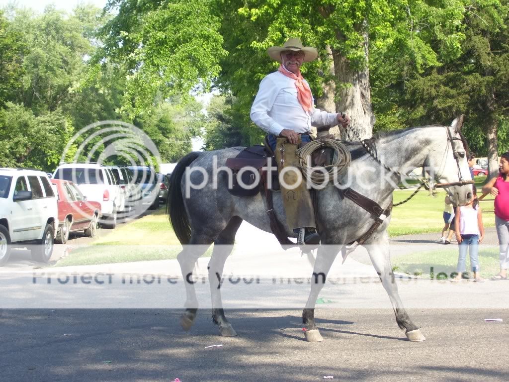 Cross post:  Missing mare in Idaho - Homesteading Questions