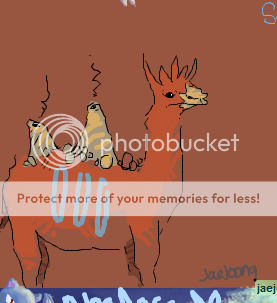 CAMELERUPT.png