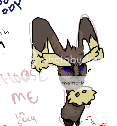 MALEWHOREPUNNY.png