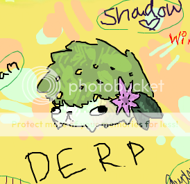 derpaderp.png