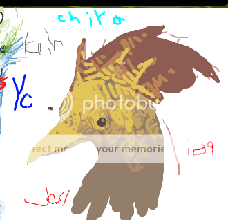 moltressss.png