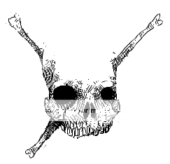 skull.png