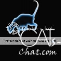 forum, cat breeds, grooming, cat diet, cat health, cat rescue, pictures
