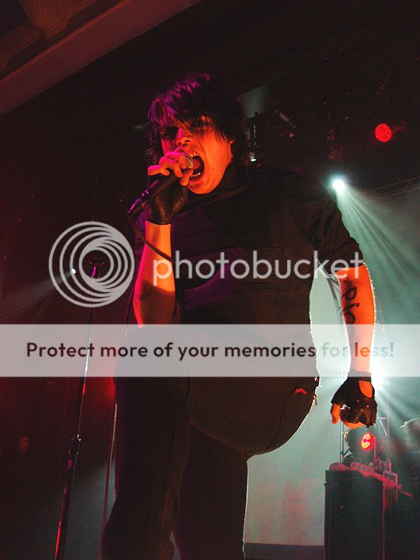 gee Pictures, Images and Photos gee Pictures, Images and Photos