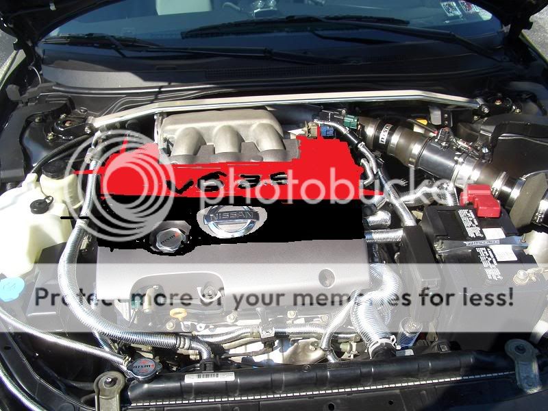 Opinions needed on painting engine cover - Nissan Forums ... Opinions needed on painting engine cover - Nissan Forums ...